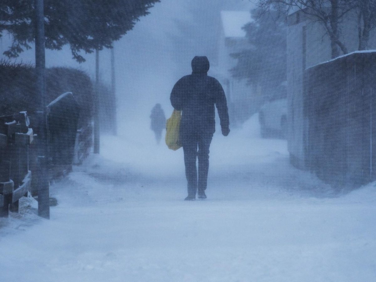 Vonskuveður - aðeins lágmarksopnun í skólum // Snow warning - schools open only for emergencies
